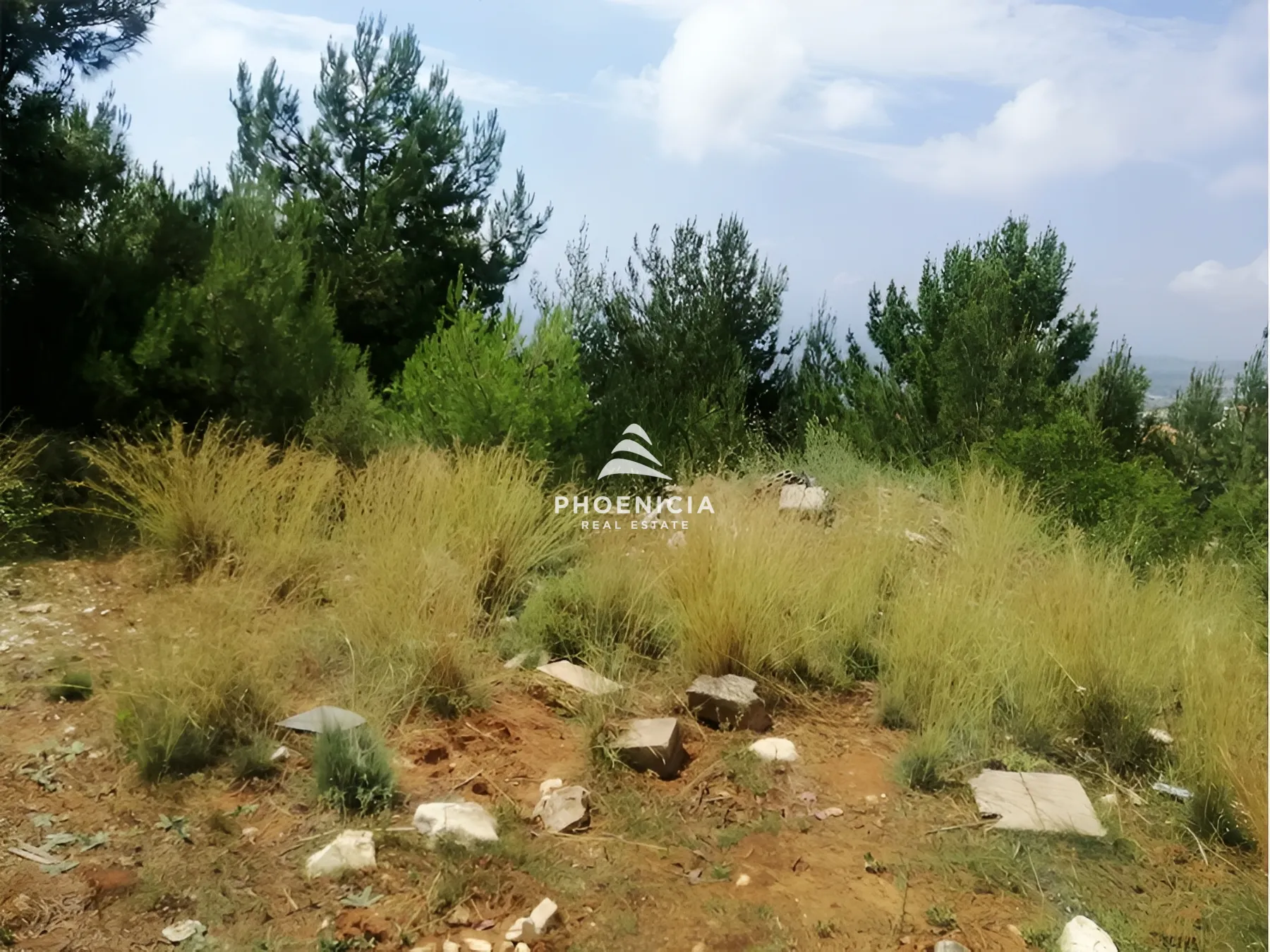 Land for Sale in Blat — الصورة 5