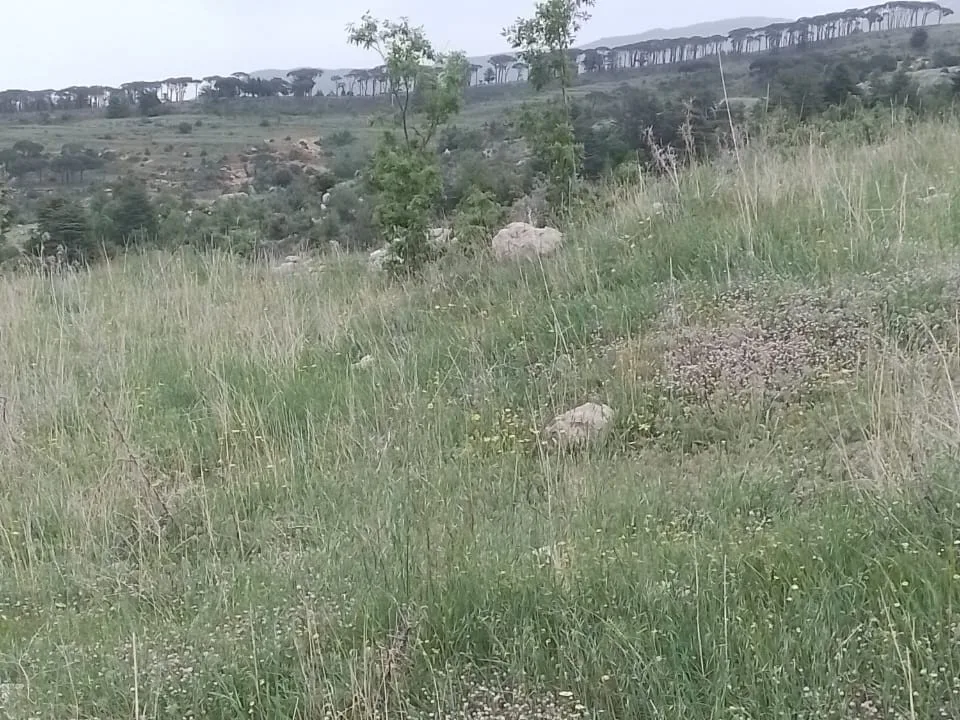 Land for Sale in Bsharri — الصورة 2