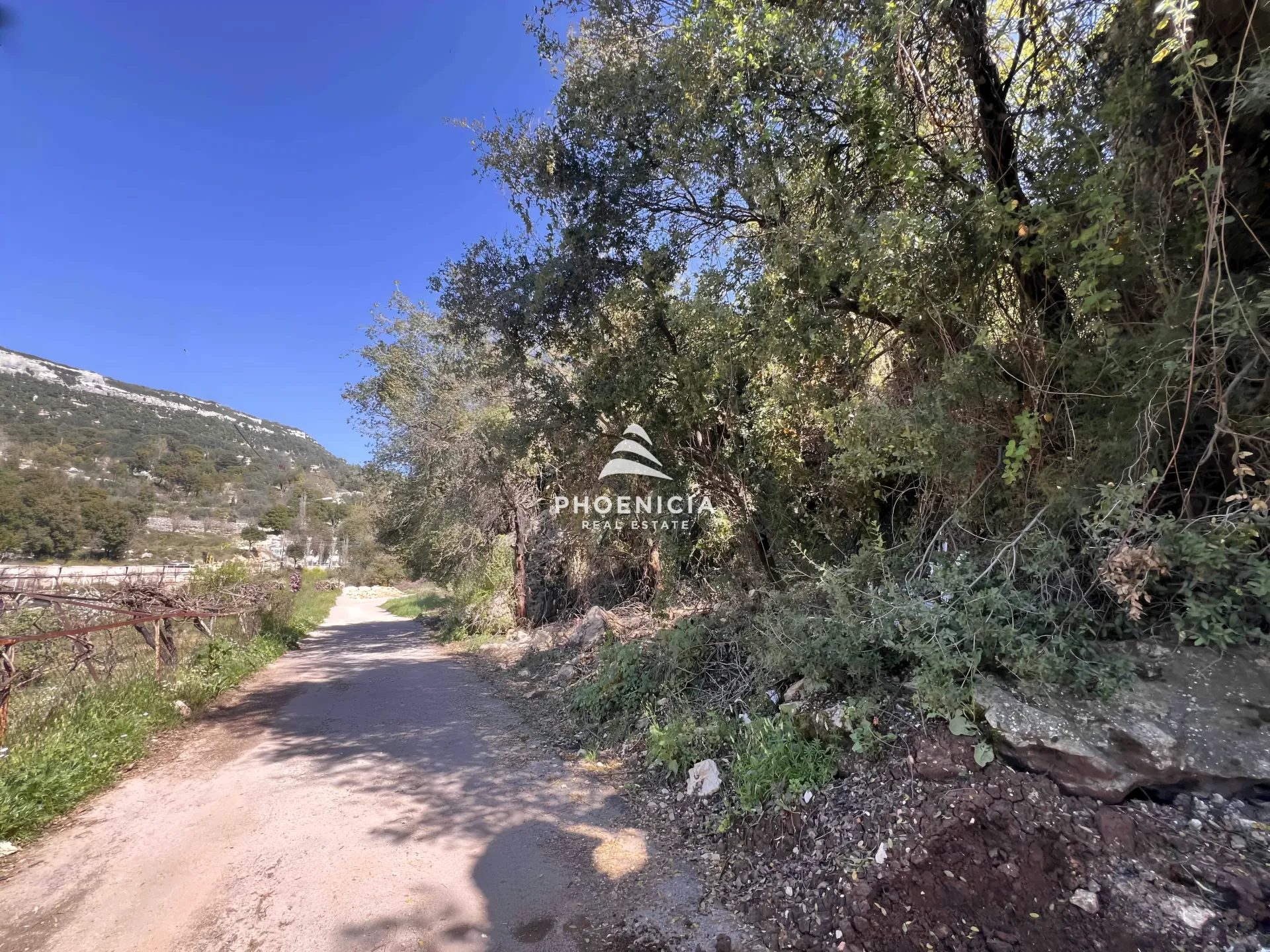 Land for Sale in Lehfed — الصورة 10