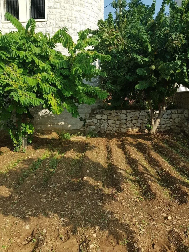 Villa for Sale in Jeita, Lebanon — الصورة 5