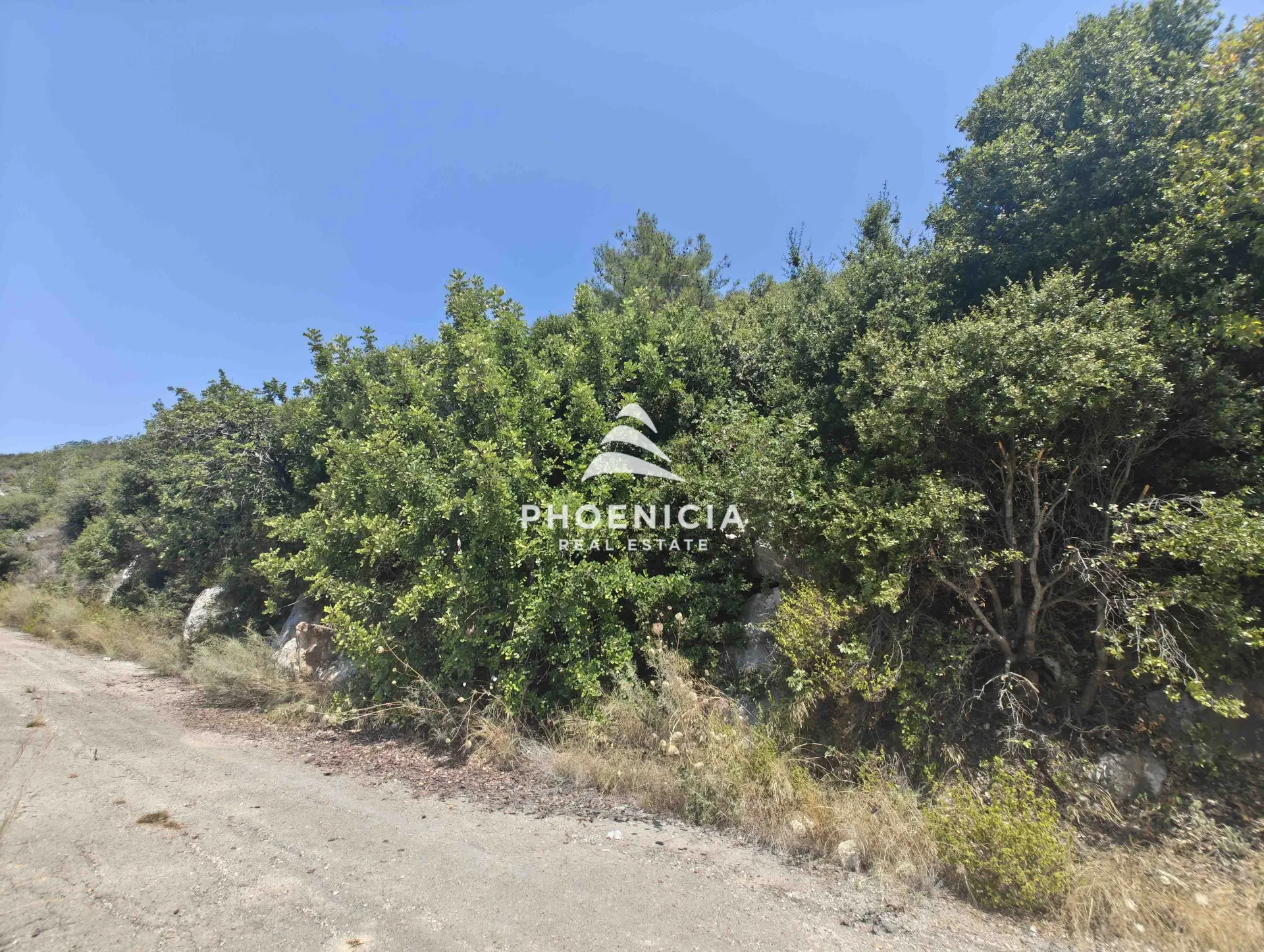 Residential Land for sale in Blat, Jbeil, Lebanon — الصورة 6