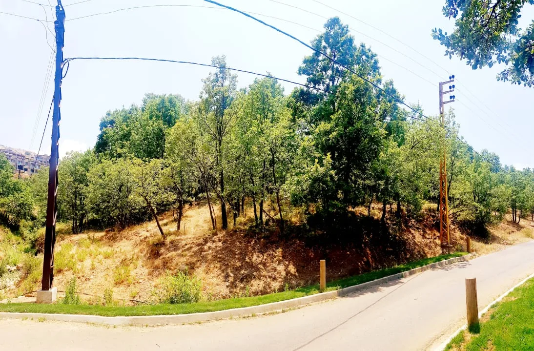 Land for Sale in Bqaatouta, Lebanon — الصورة 2