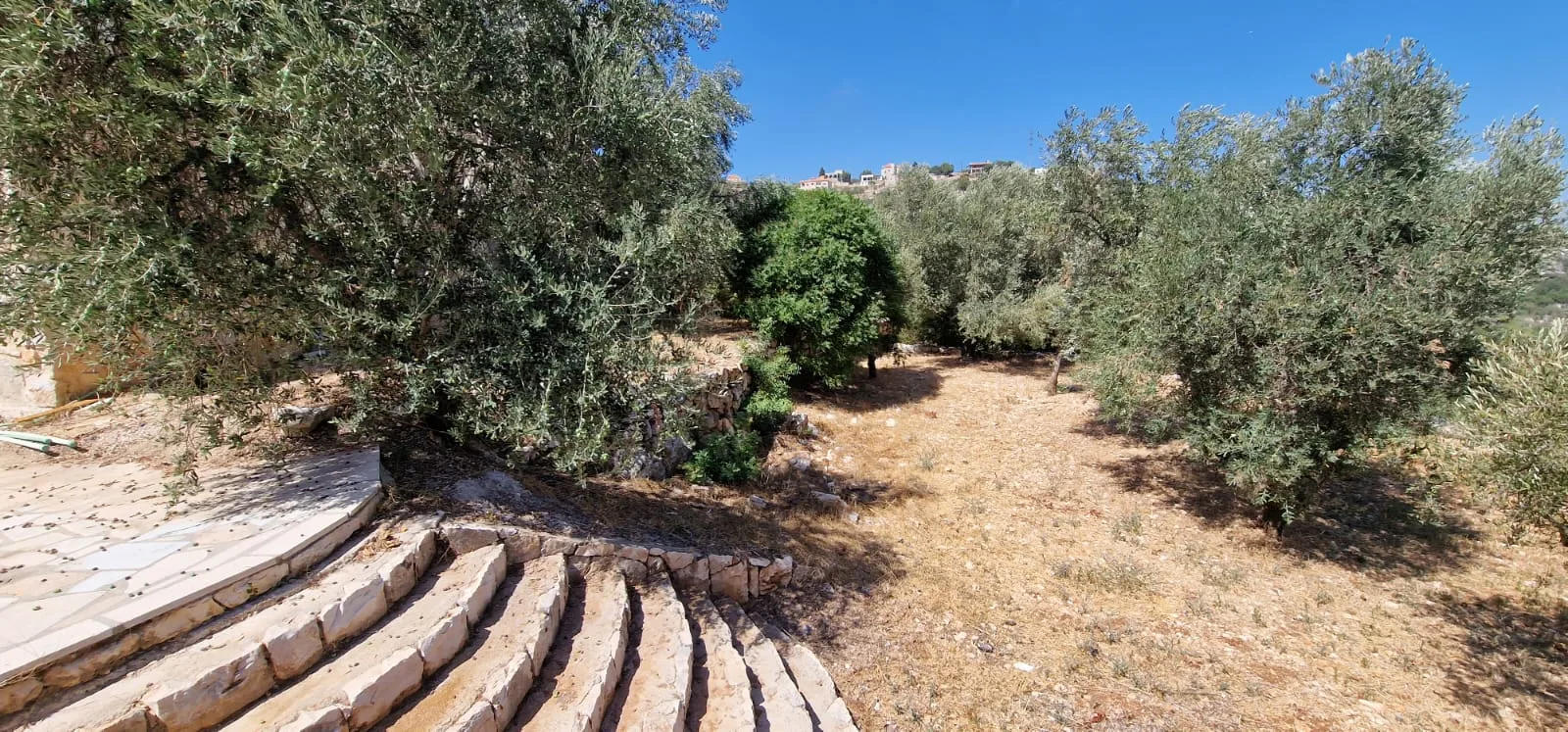 Triplex for Sale in Batroun, Lebanon — الصورة 3