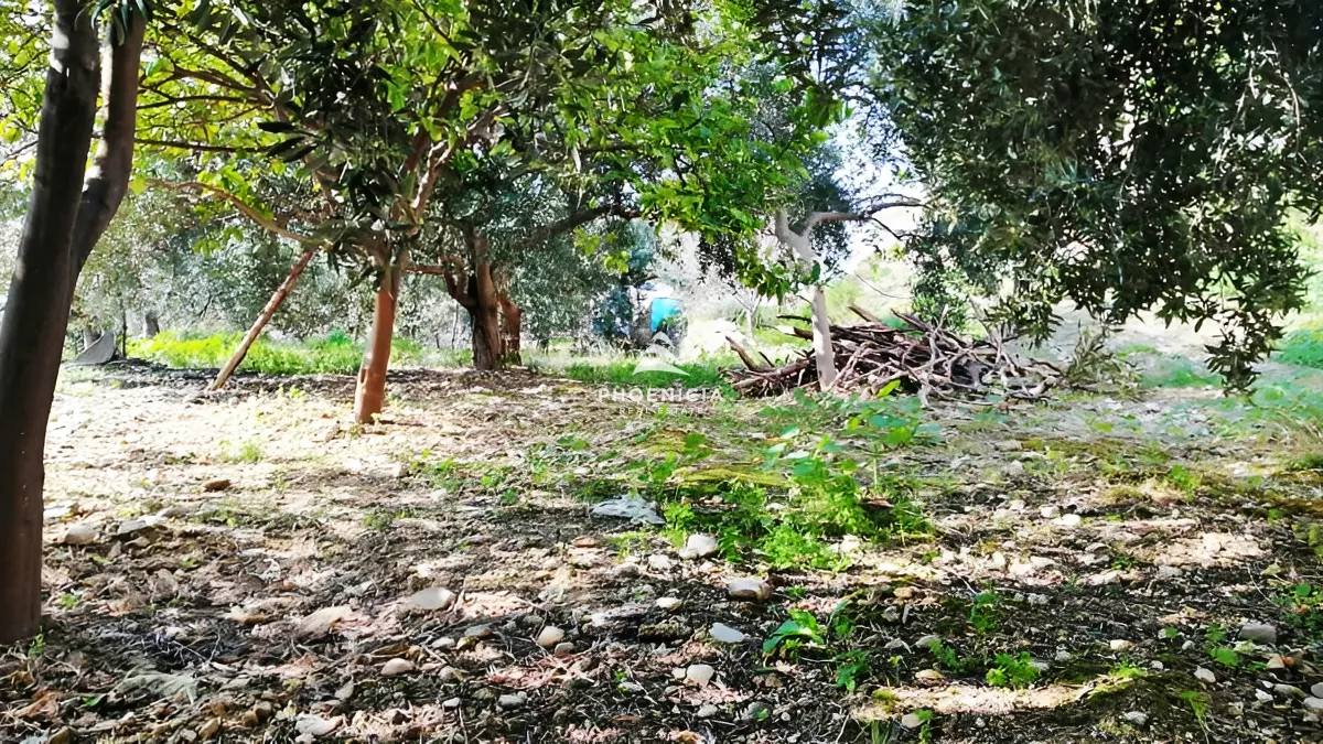 Land for Sale in Blat — الصورة 4