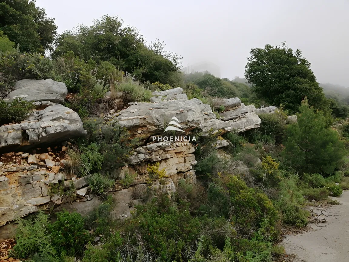 Land for Sale in Blat — الصورة 13