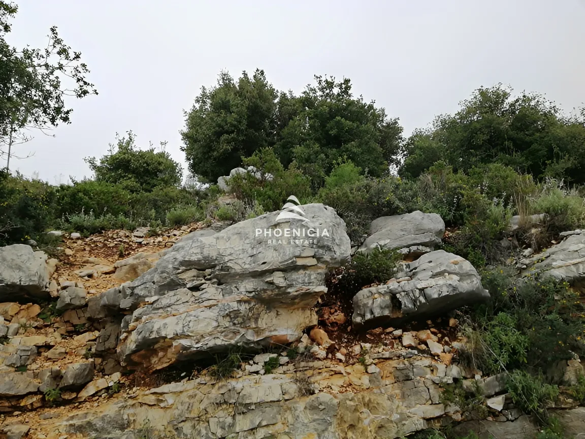 Land for Sale in Blat — الصورة 5