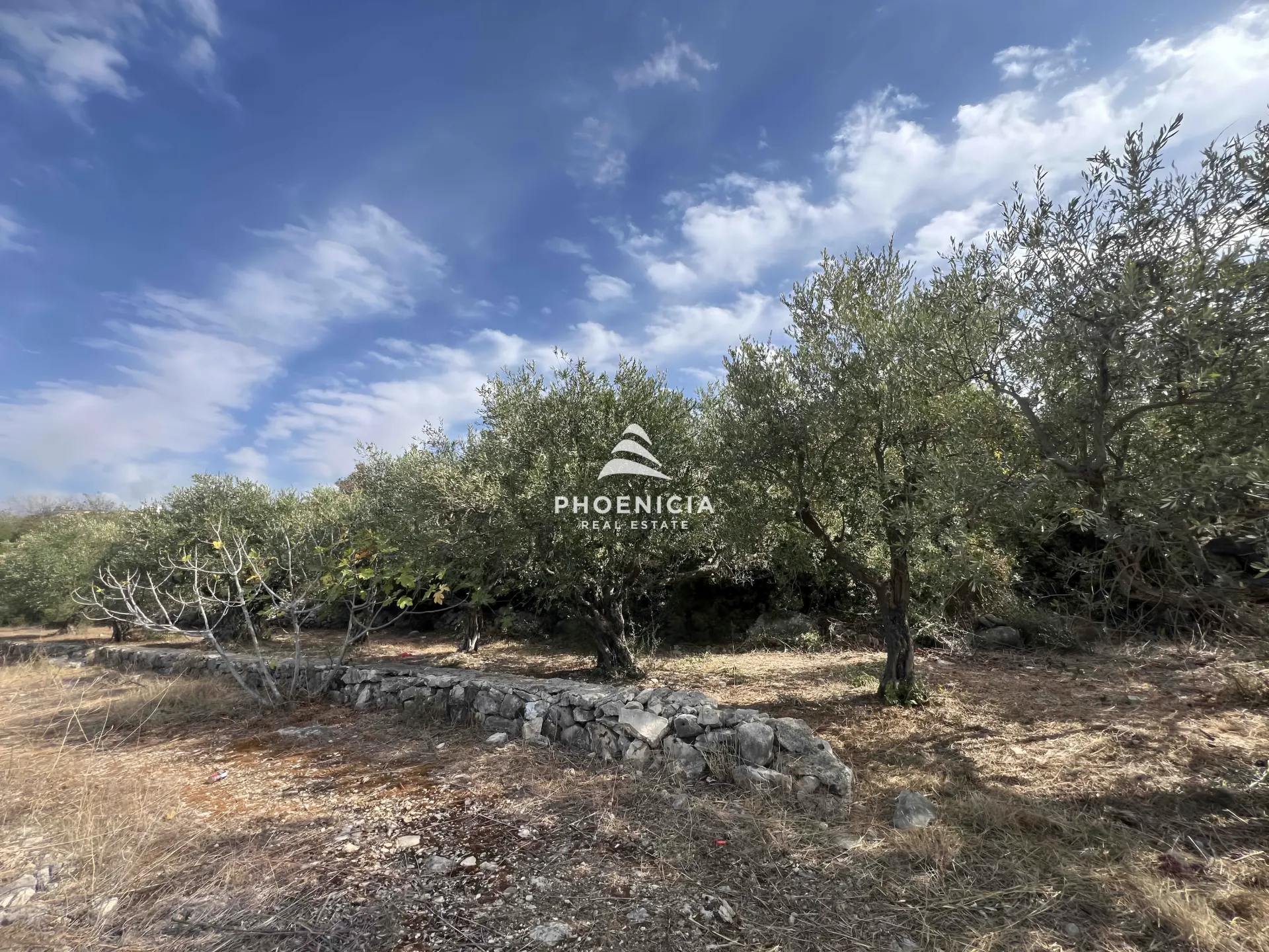 Land for Sale in Chikhane — الصورة 2