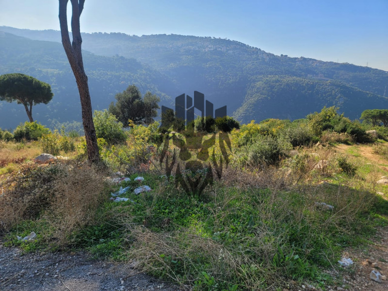 Land For Sale In Monteverde