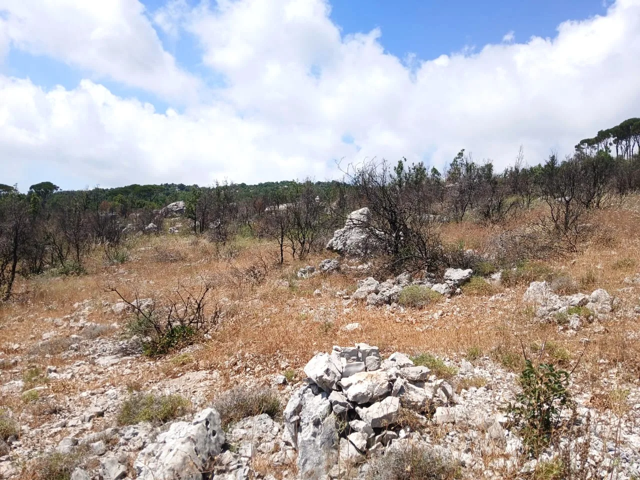Land for Sale in Mtein — الصورة 2
