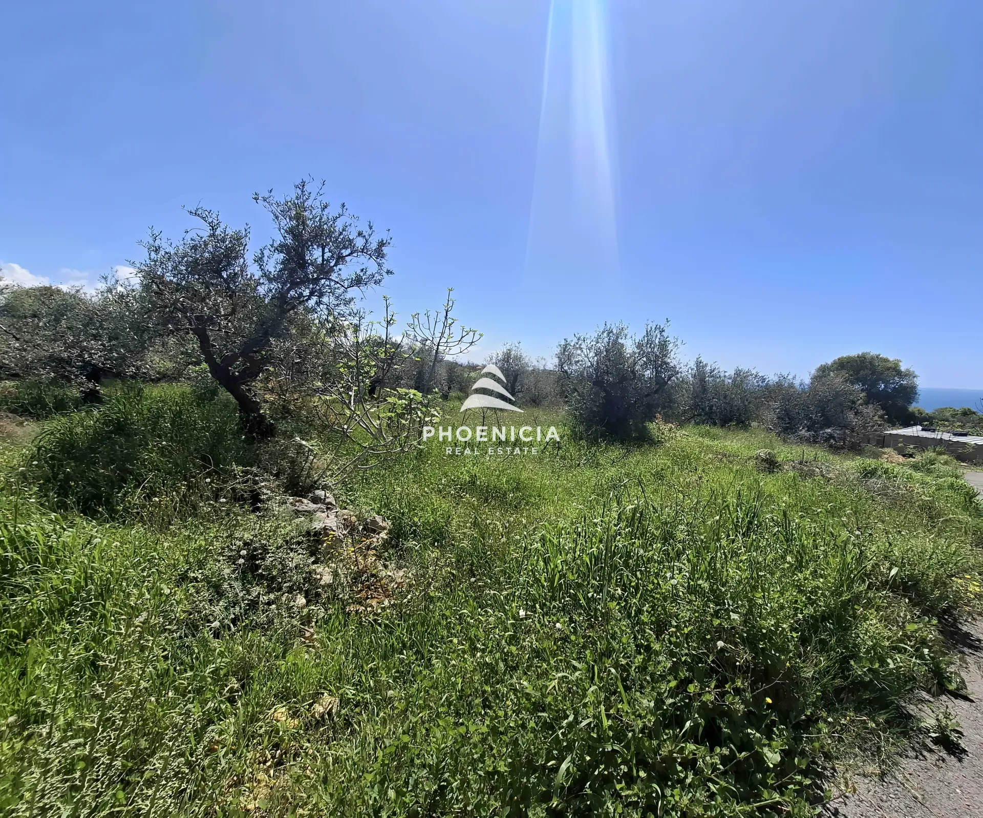 Land for Sale in Monsef — الصورة 3