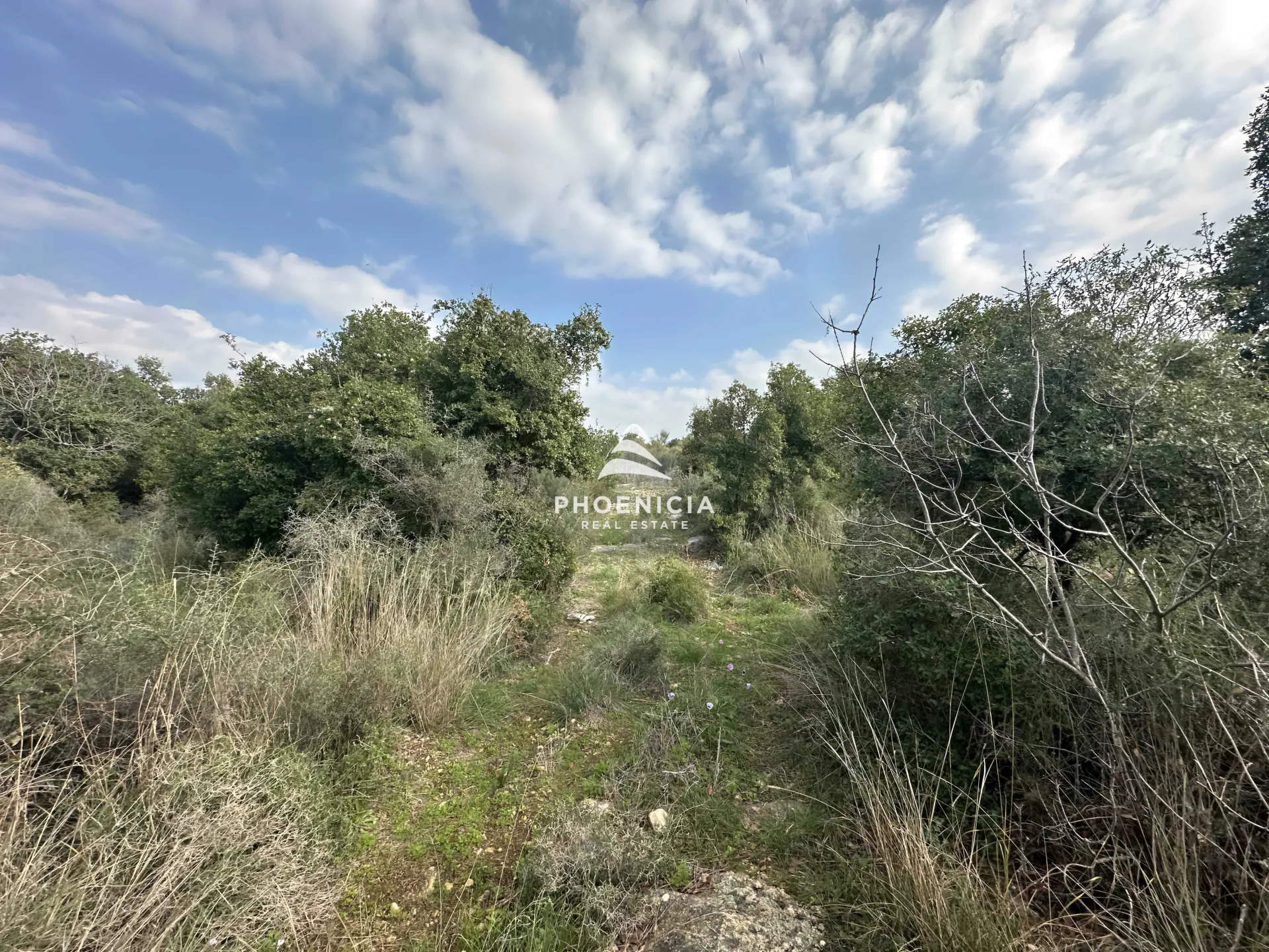 Land for Sale in Bejjeh — الصورة 9