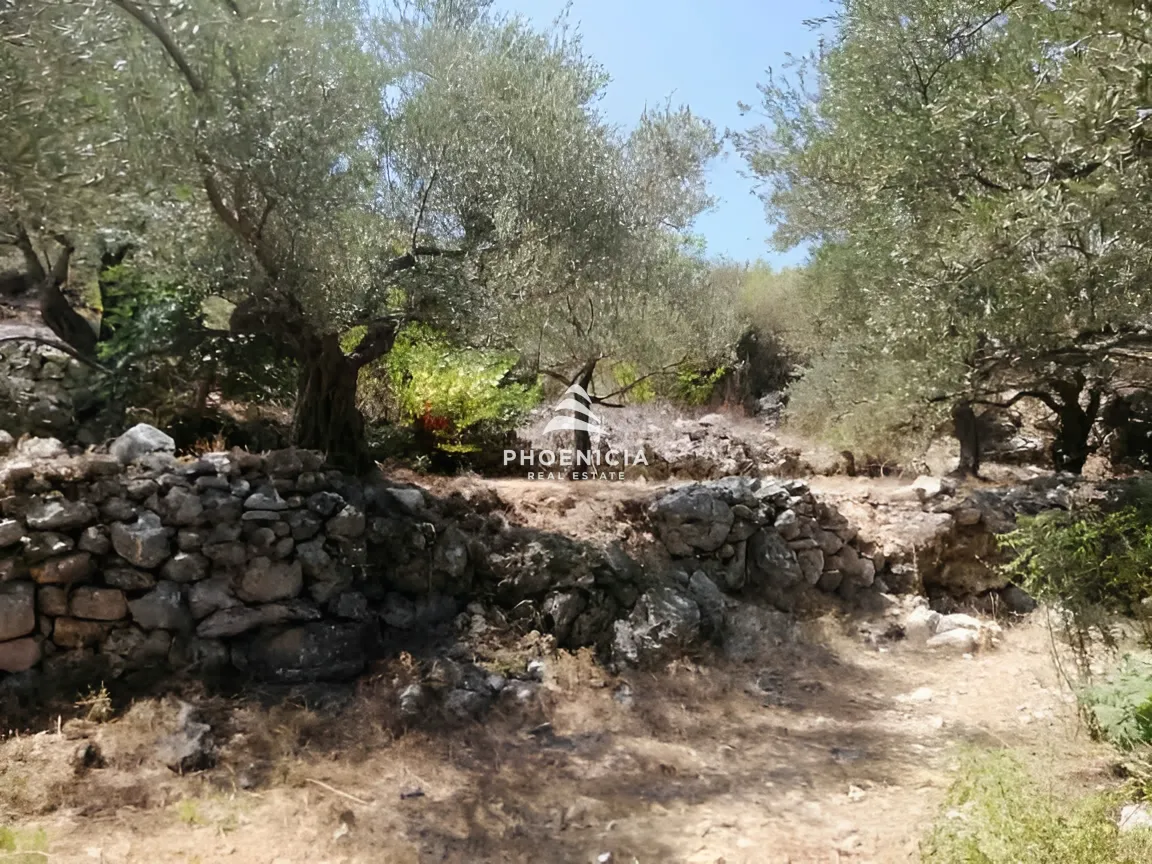 Land for Sale in Monsef — الصورة 12