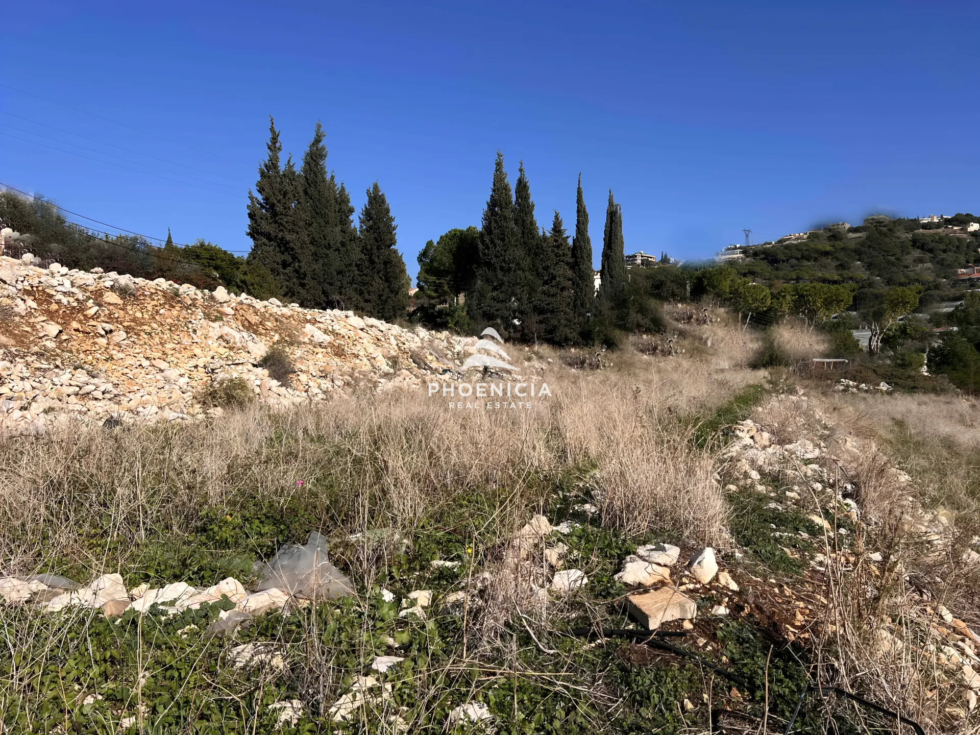 Land for Sale in Edde — الصورة 4