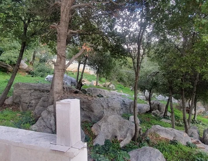 Villa For Sale in Baabdat — الصورة 4