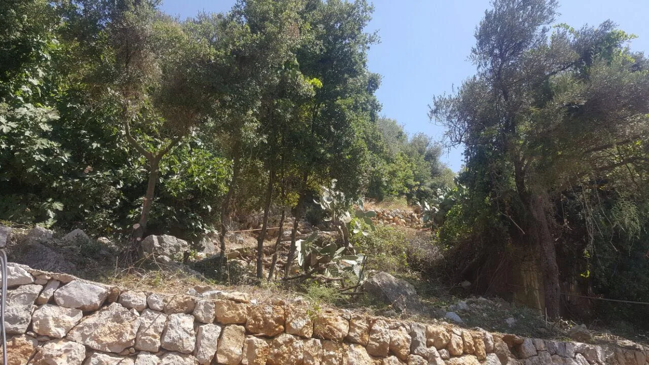 Old House for Sale – Baabdat — الصورة 3