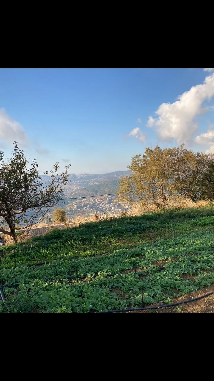 Land for Sale in Zaarour, Lebanon — الصورة 3