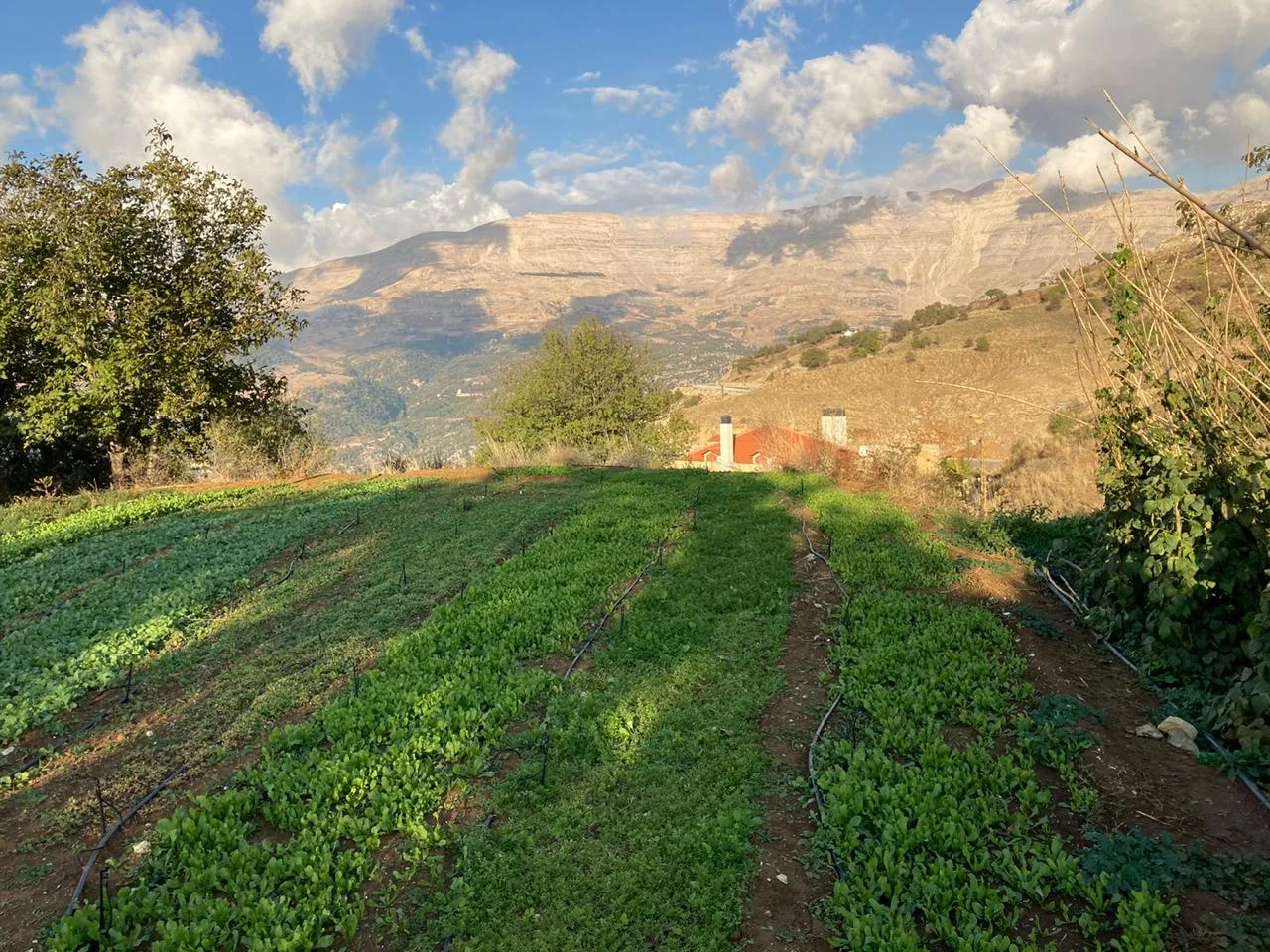 Land for Sale in Zaarour, Lebanon — الصورة 2