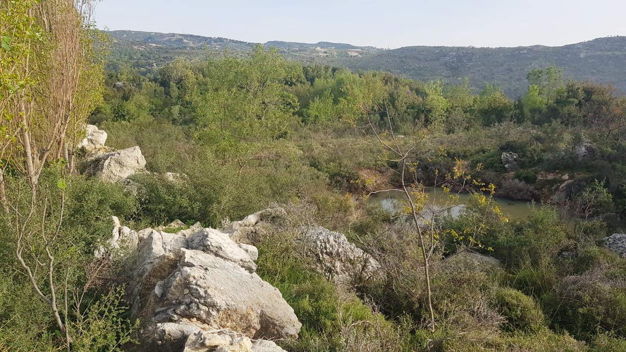 REF#RS131457 villas project, Flat land Lehfed – Jbeil — الصورة 3