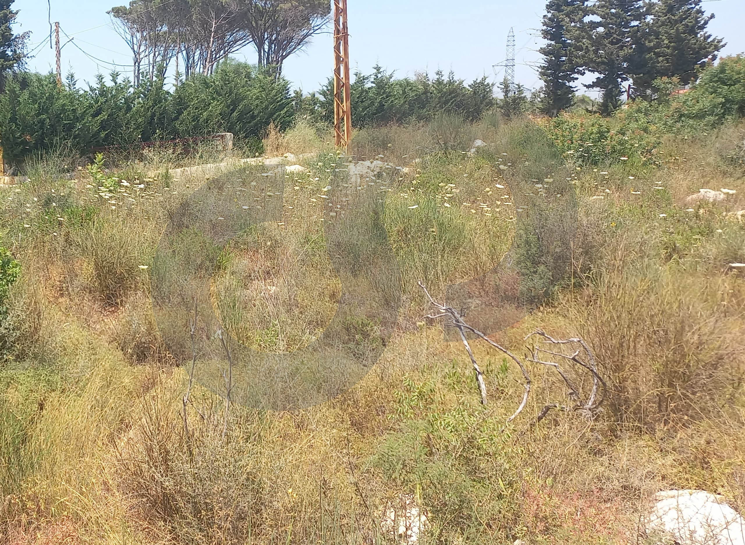 5002 SQM Land for Sale in Dibbiyeh - Tallit El Radar — الصورة 2