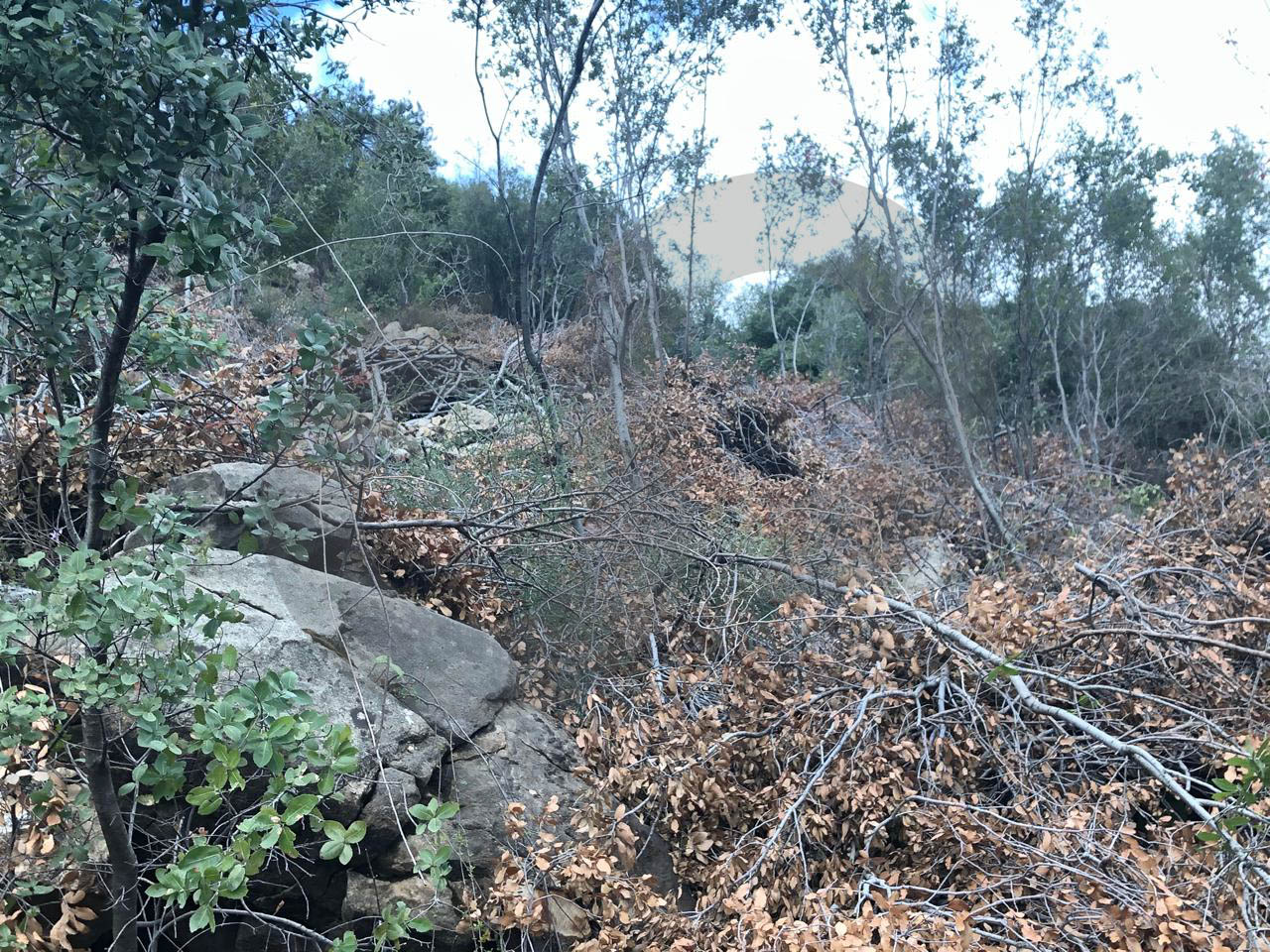 Hot Deal for Investors & Developers - Adonis – Jbeil — photo 2