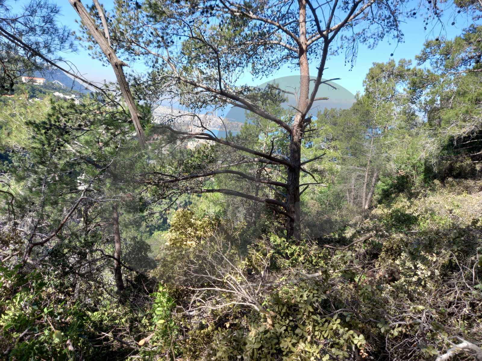 Prime Land for Sale in Kfarhbab– keserwan ! — photo 2