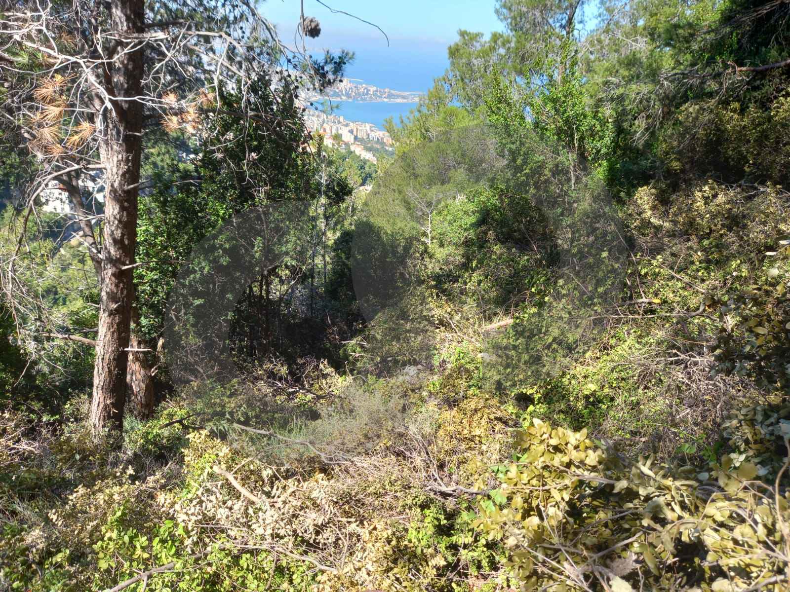 Prime Land for Sale in Kfarhbab– keserwan ! — photo 3