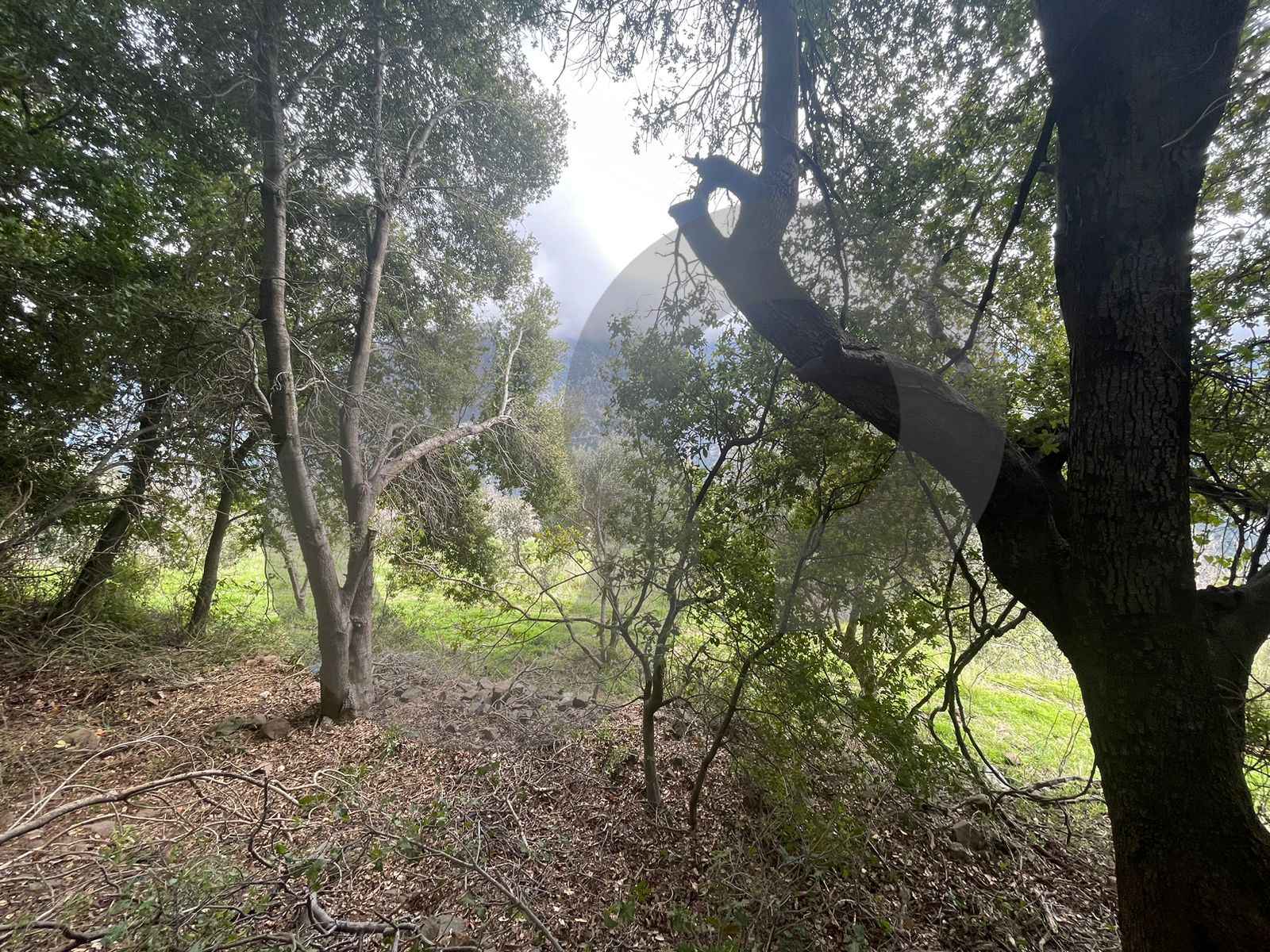 Land | Prime Residential Plot in Ain Jrein - jbeil ! — الصورة 2
