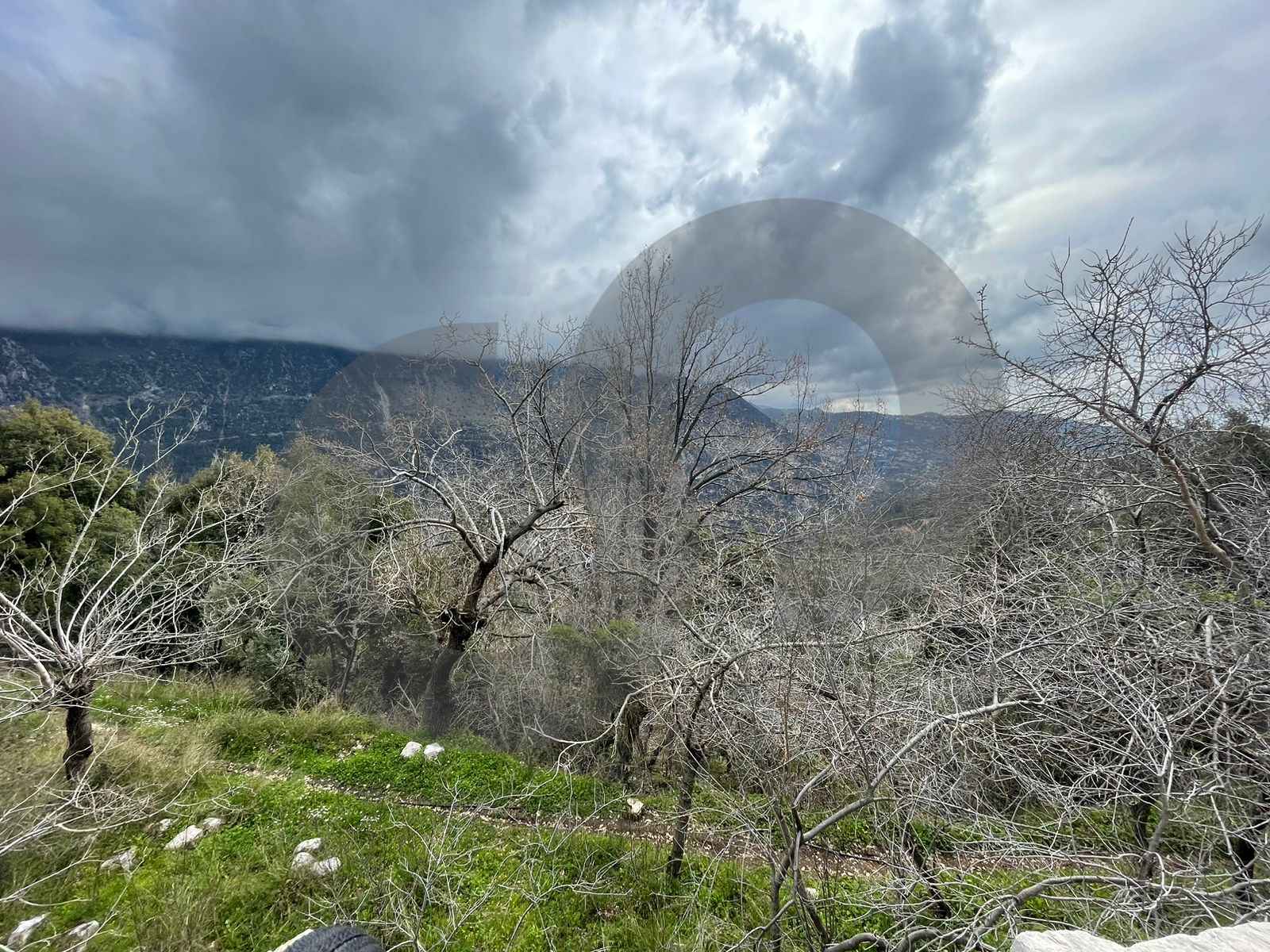 Land | Prime Residential Plot in Ain Jrein - jbeil ! — الصورة 3