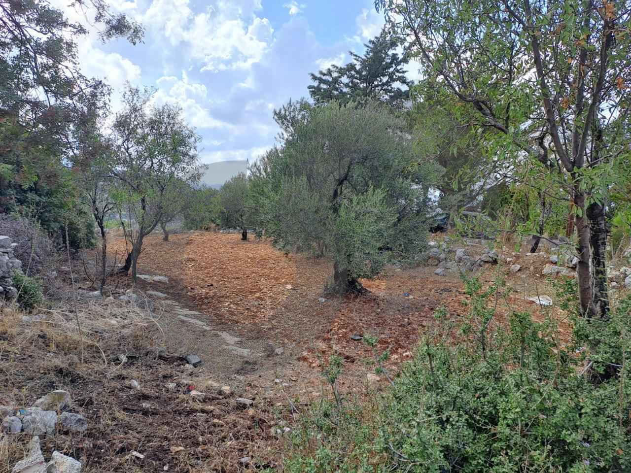 LAND/Derbilla/ Batroun /investment project — photo 2