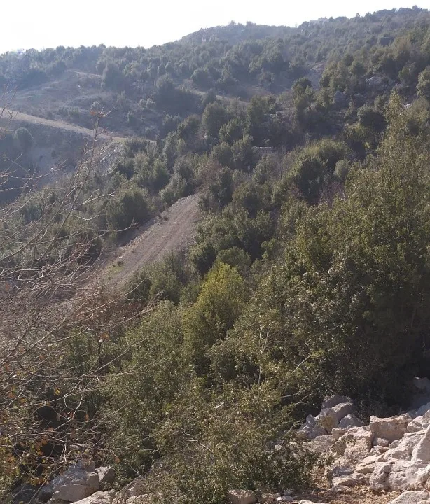 Land for Sale in Faitroun — الصورة 2