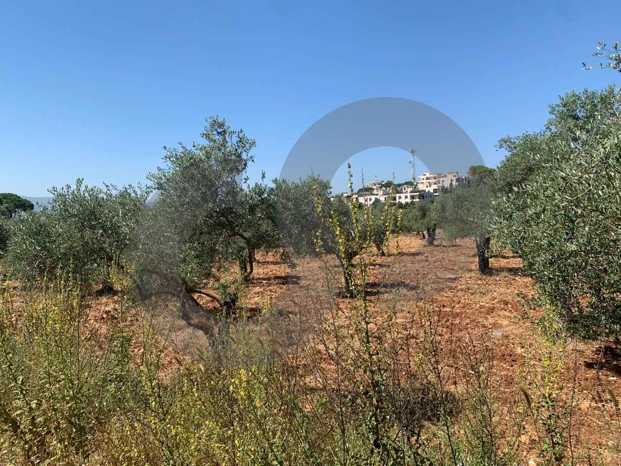 LAND/ Afsdiq – Koura / Zoning 15/30 — الصورة 3