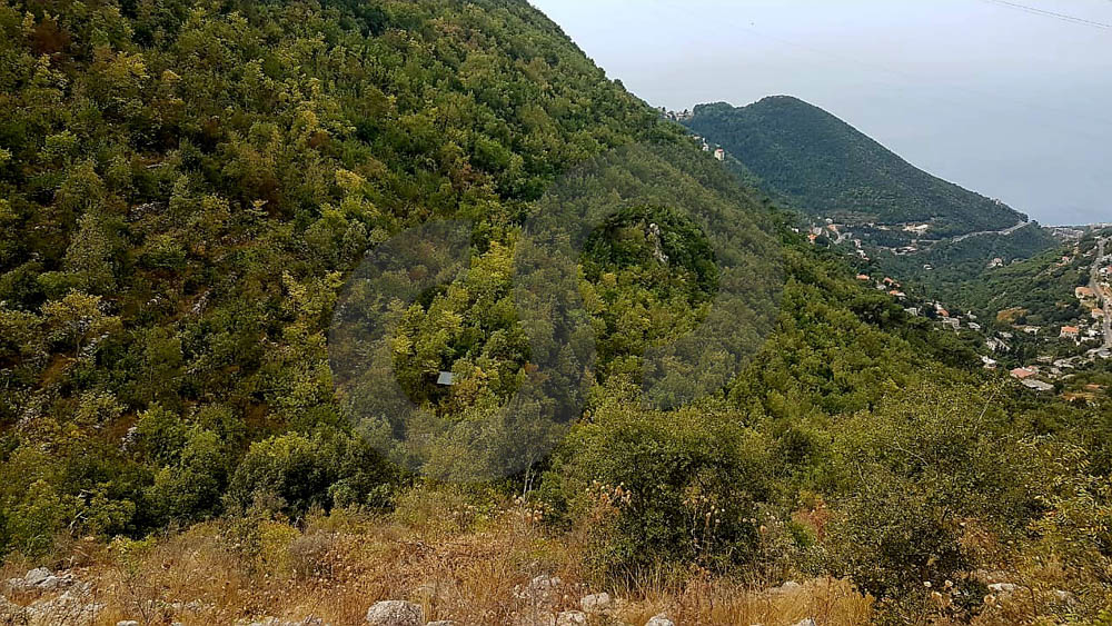 Exceptional Land Opportunity/two adjacent plots of land/Delbta, Keserwan — photo 3
