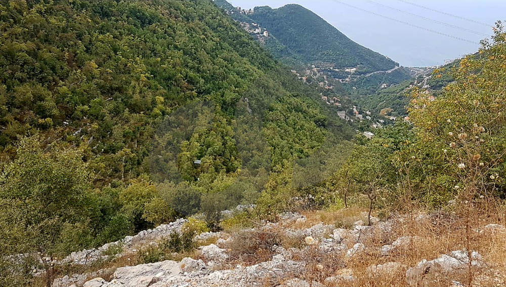 Exceptional Land Opportunity/two adjacent plots of land/Delbta, Keserwan — photo 2
