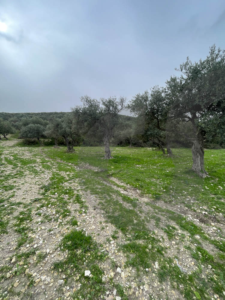 A Land of 2566 sqm , Open Sea View ,Chekka — الصورة 2