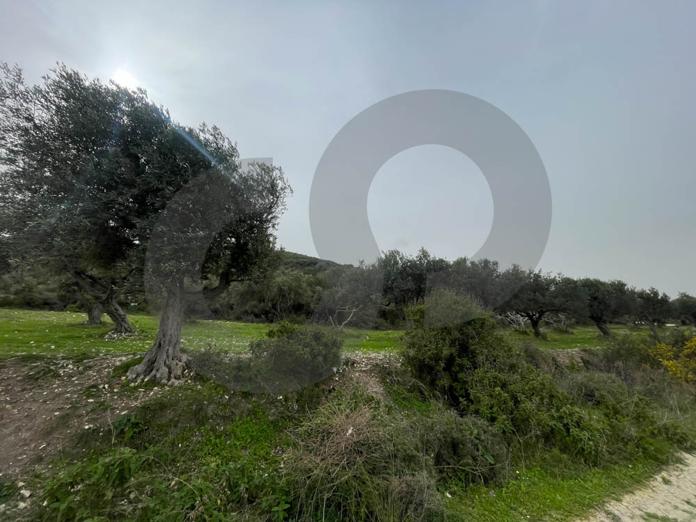 A Land of 2566 sqm , Open Sea View ,Chekka — الصورة 3