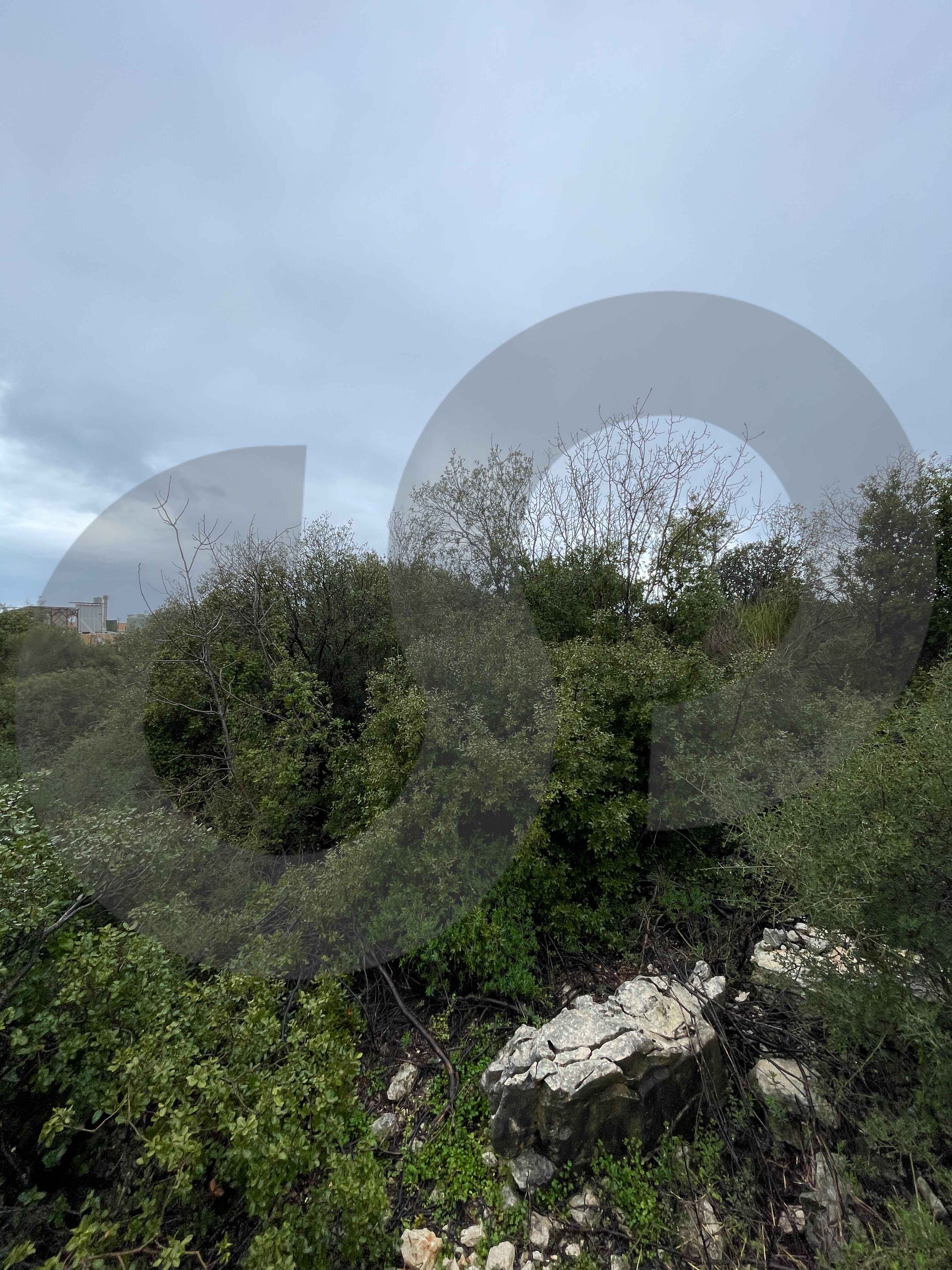 1000 sqm land for sale in Bejjeh /Open View — الصورة 2