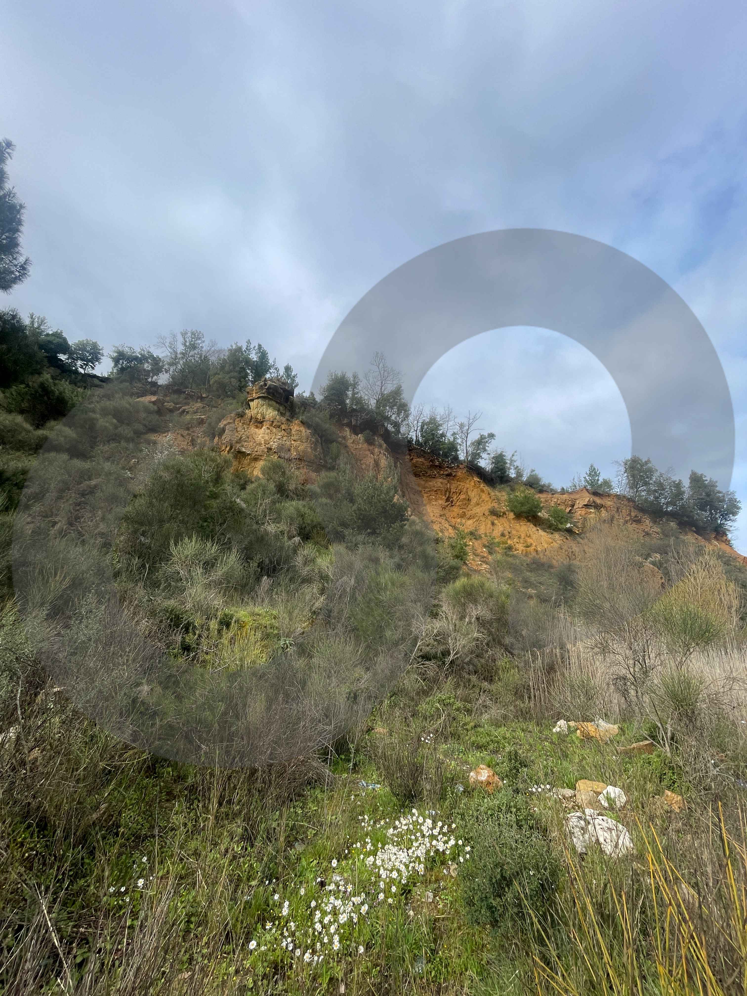 LAND/Ain Ed Delb, Saida/80m road frontage — الصورة 2
