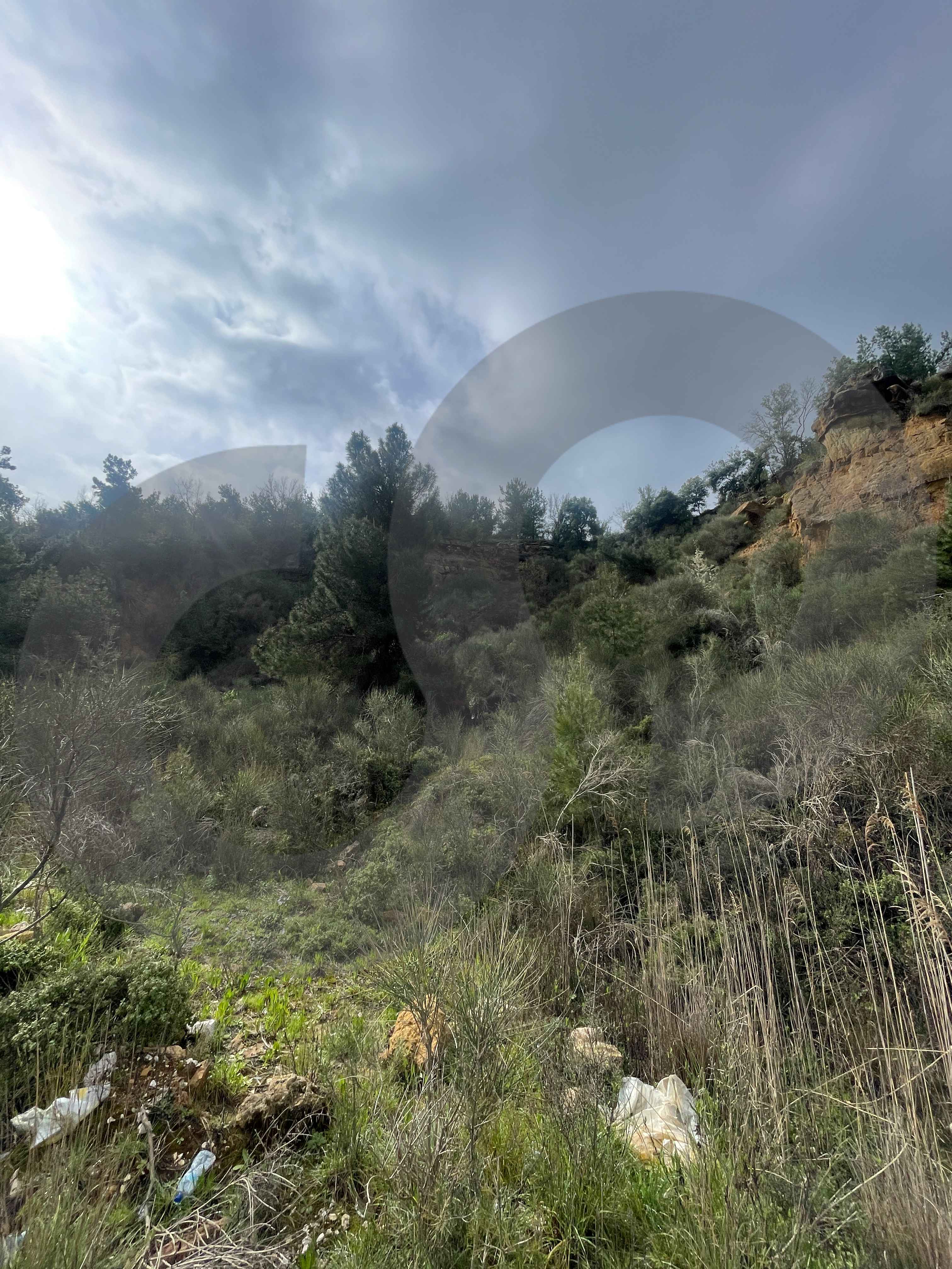LAND/Ain Ed Delb, Saida/80m road frontage — الصورة 3