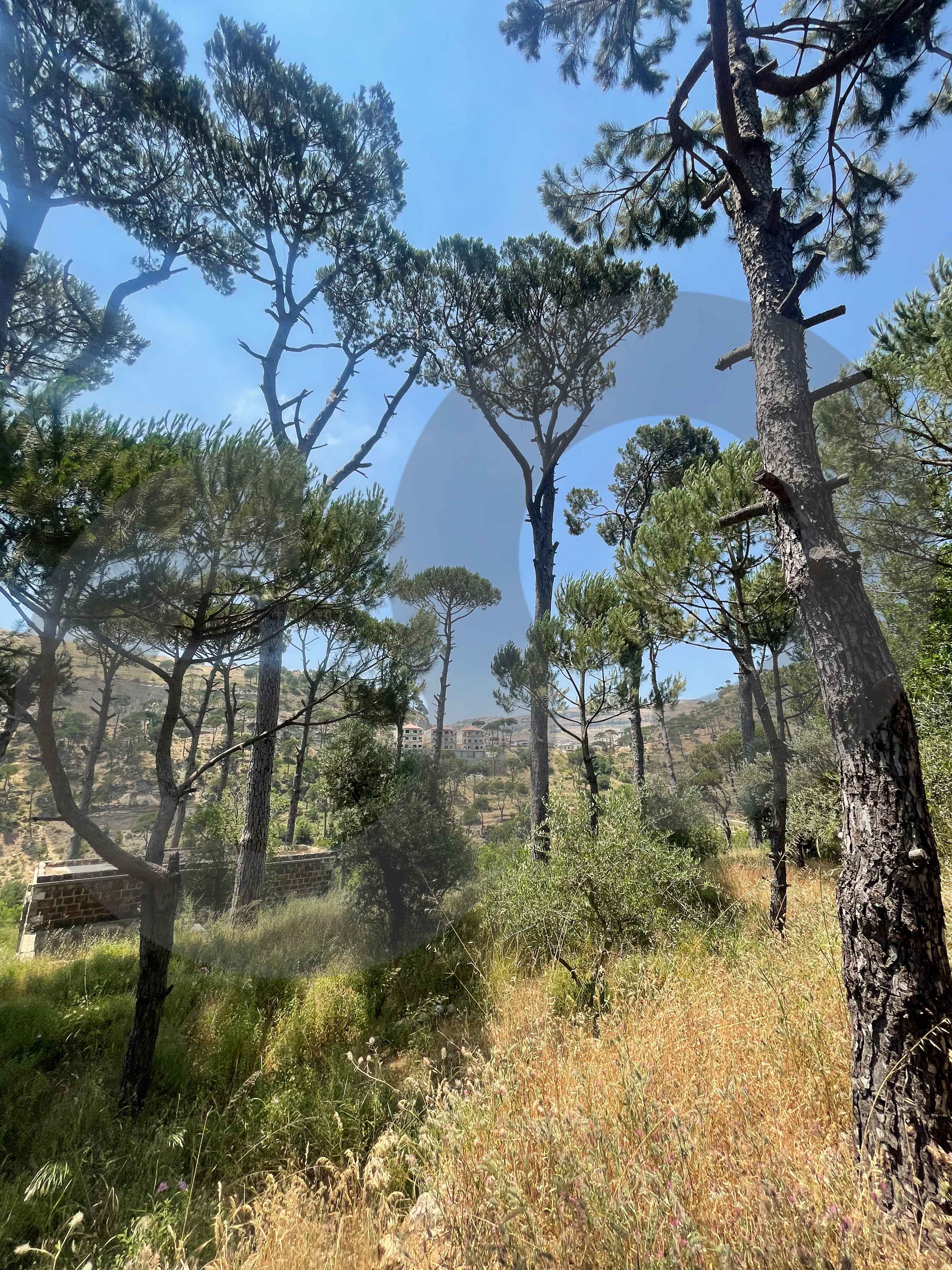 LAND/strategic location/Sawfar , ALEY / Zone: 25/50 — الصورة 3