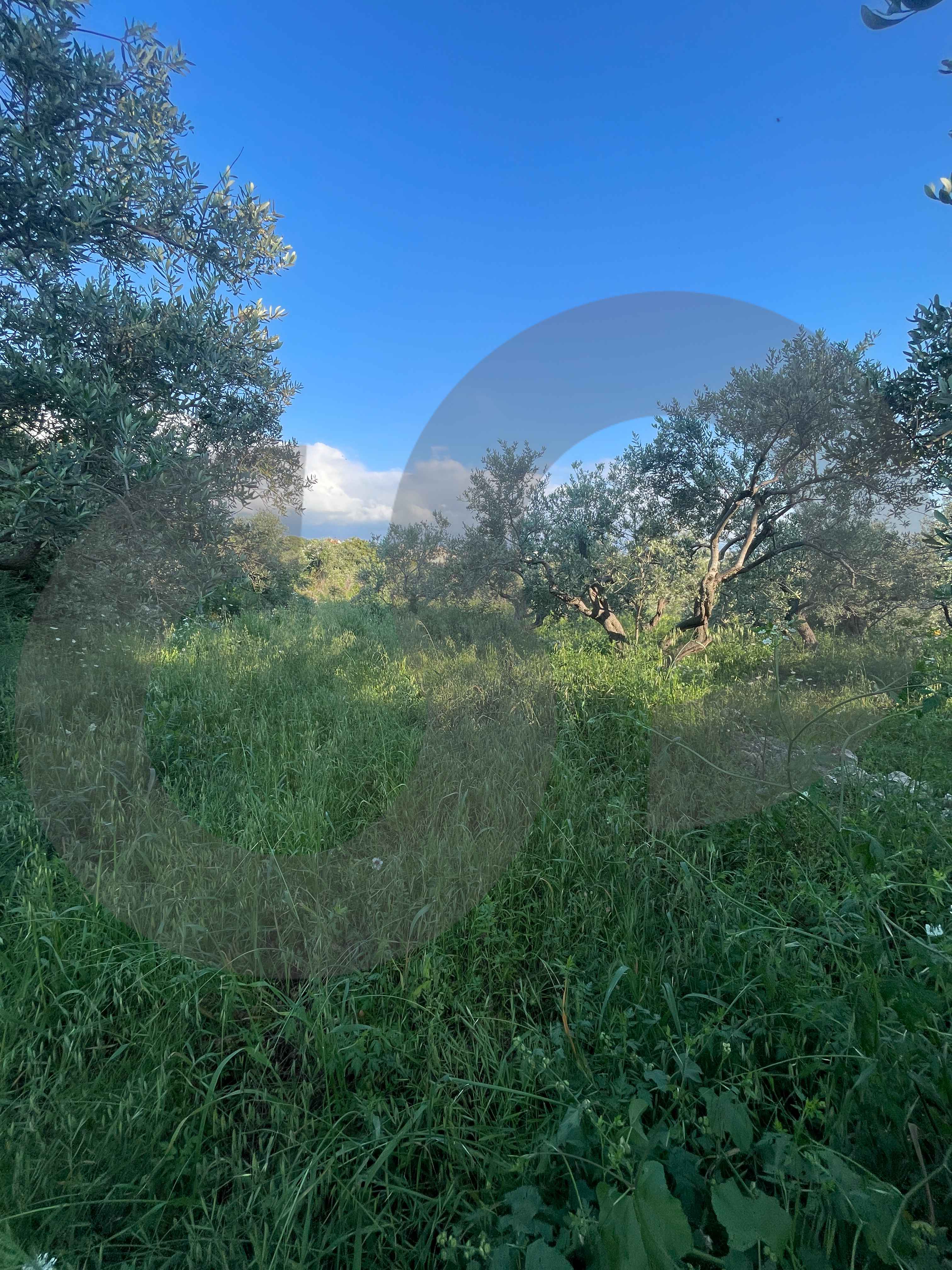LAND/ Rihaneh, Jbeil/ peaceful area — الصورة 2