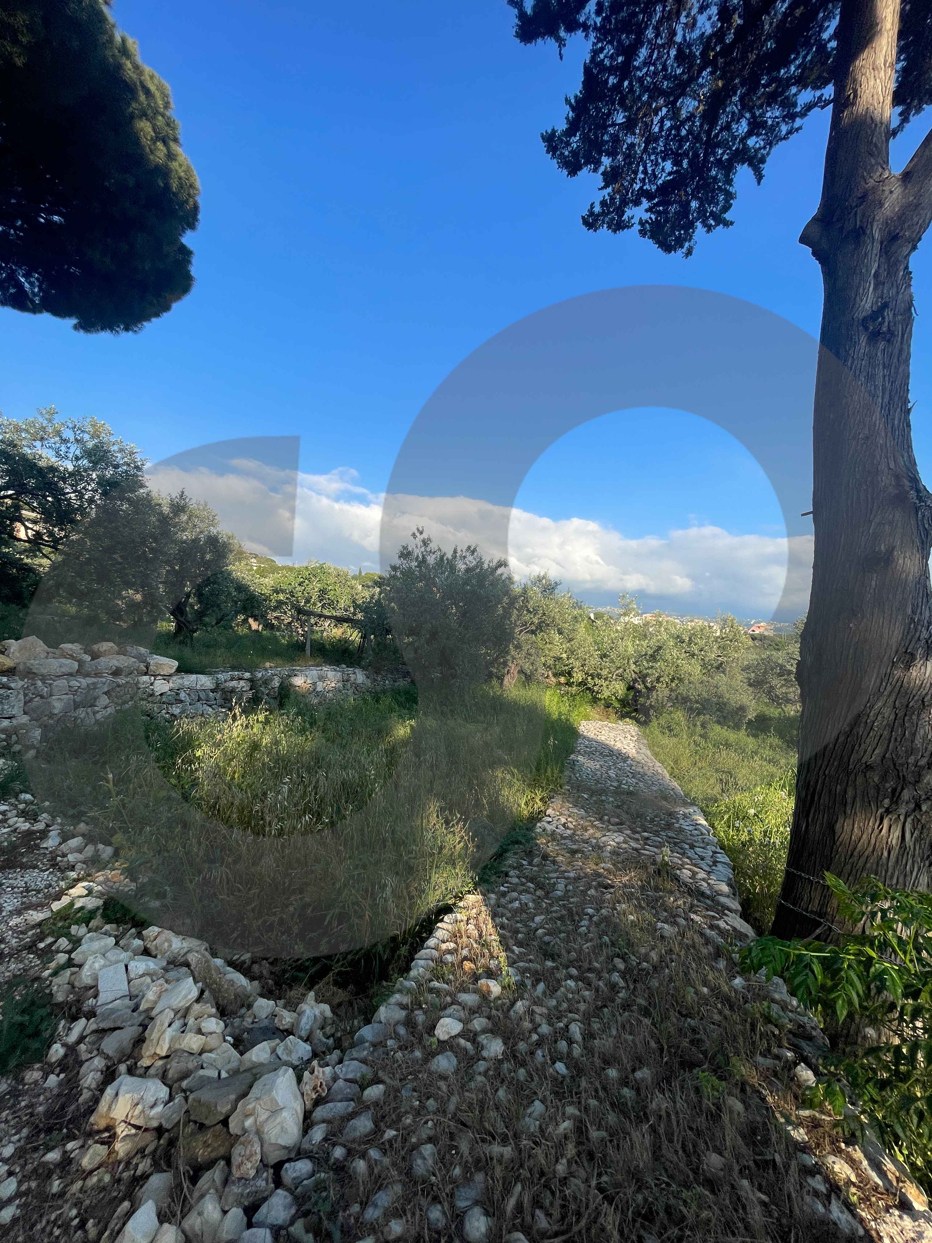 LAND/ Rihaneh, Jbeil/ peaceful area — الصورة 3