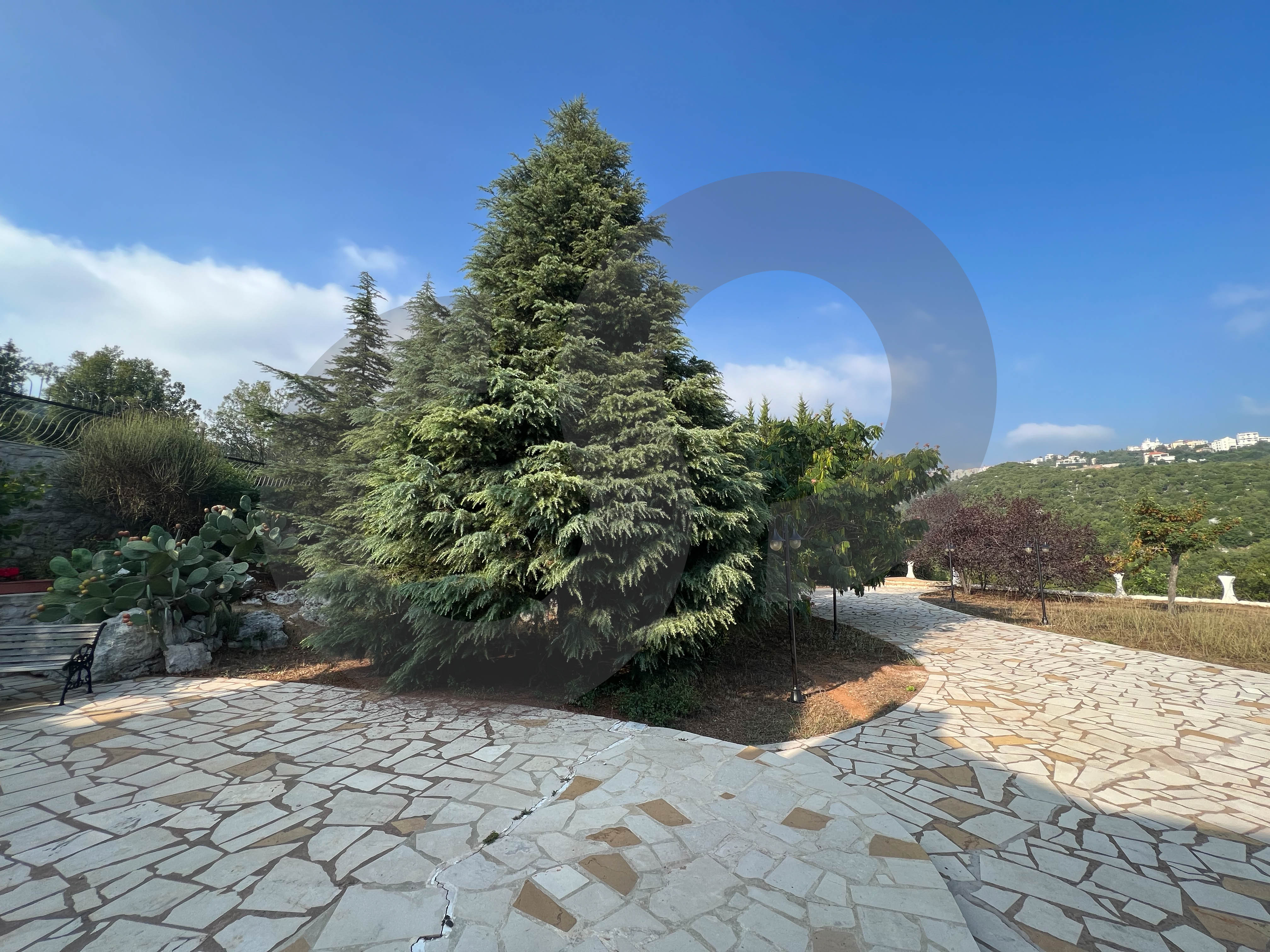 Villa in Ajaltoun - land with a building permit — الصورة 3