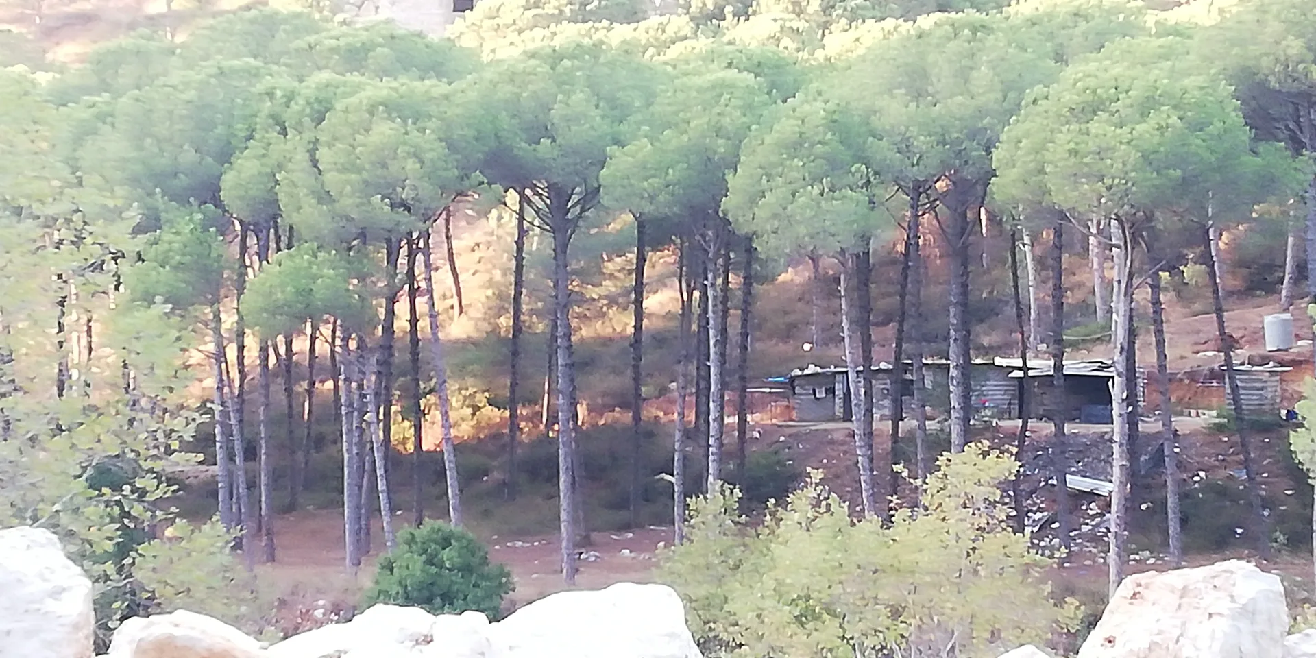 Land for Sale in Baabdat, Lebanon — الصورة 2