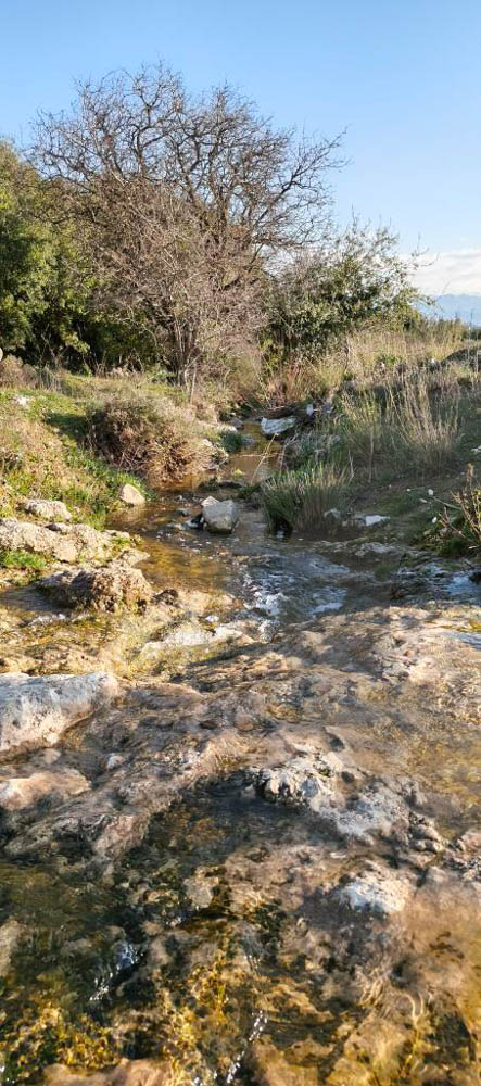 peaceful plot surrounded by nature, koura, bechmezzine — الصورة 2