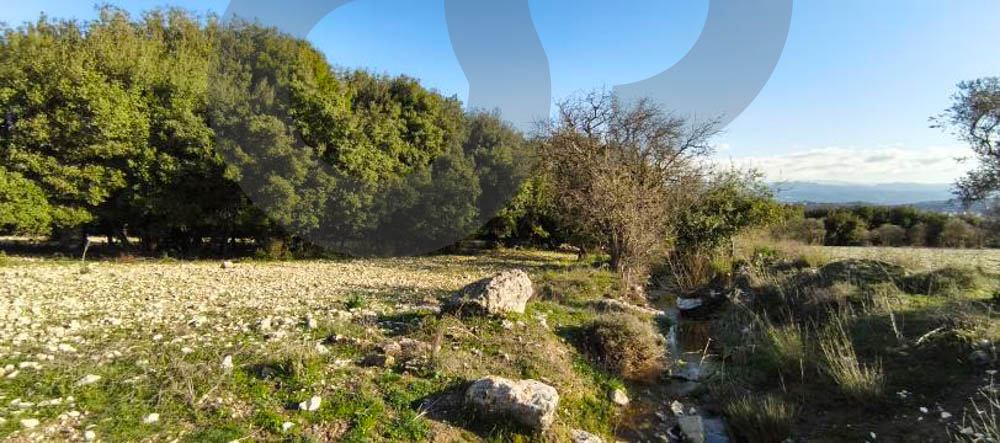 peaceful plot surrounded by nature, koura, bechmezzine — الصورة 3