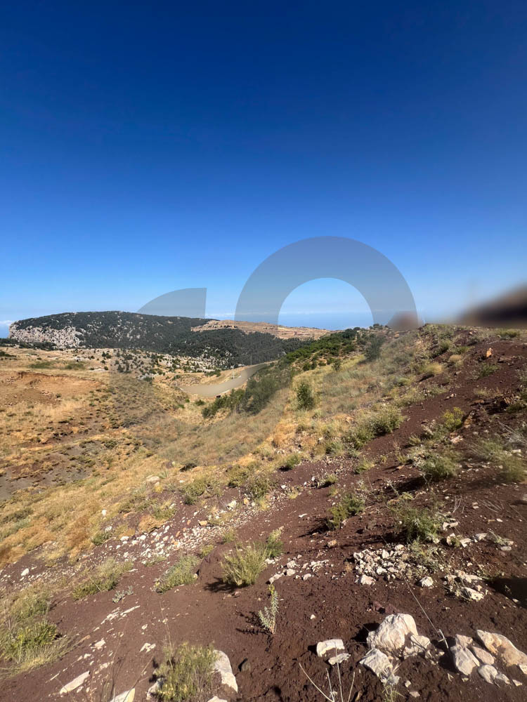 MOUNTAIN VIEW/LUXURY LAND/TANNOURINE-BATROUN — الصورة 3
