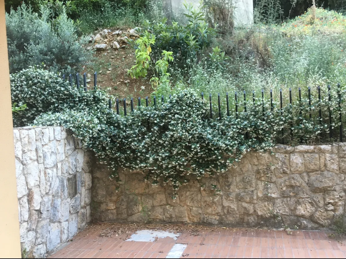 Apartment for Sale in Kfar Hbab — الصورة 7