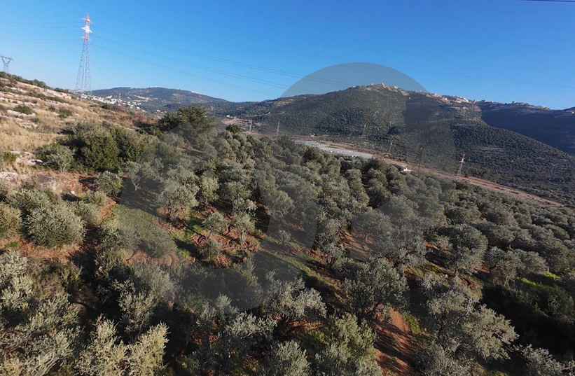 LAND/ Zgharta — الصورة 2