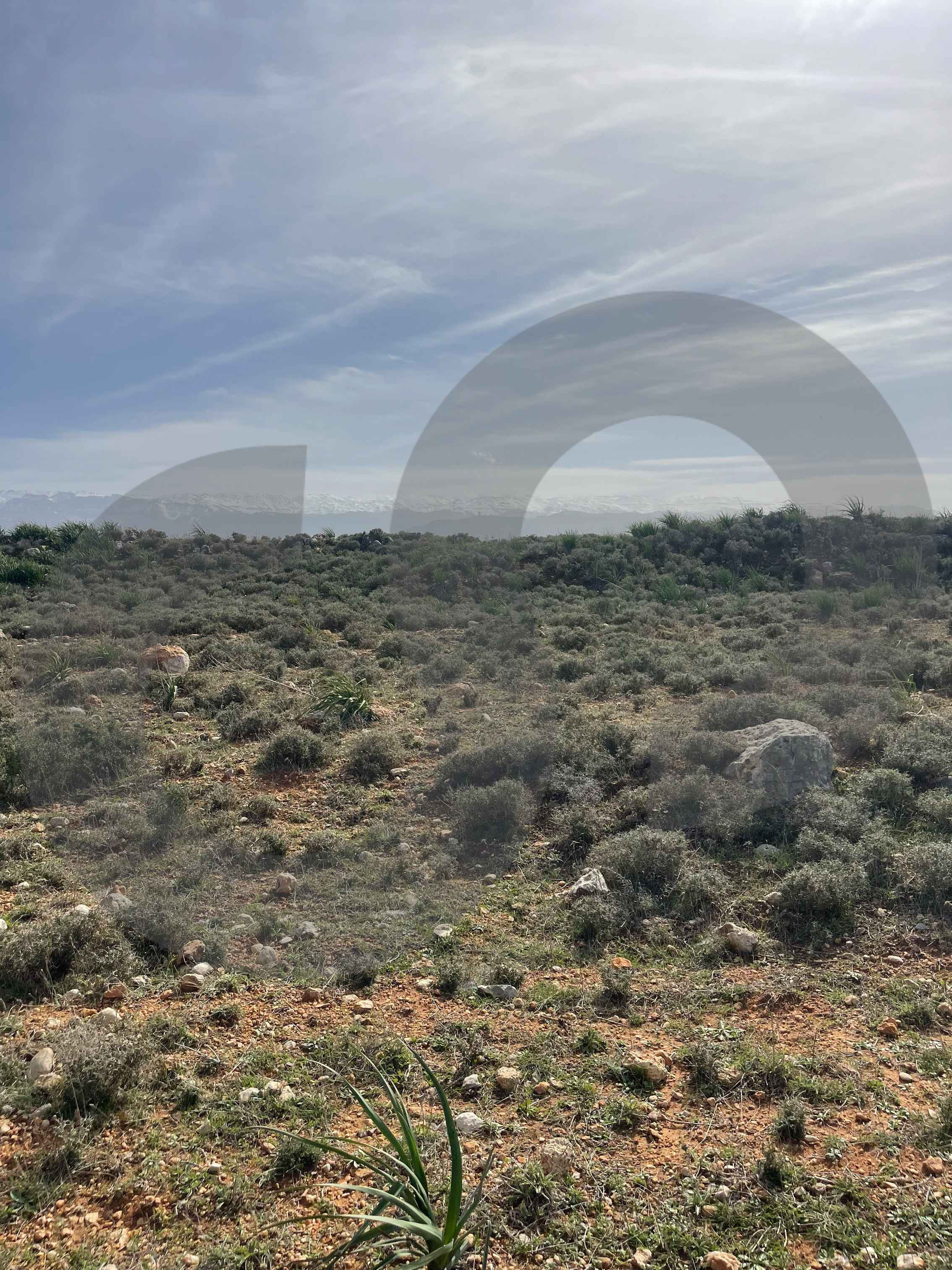 LAND/Zgharta , road frontage ! — photo 2
