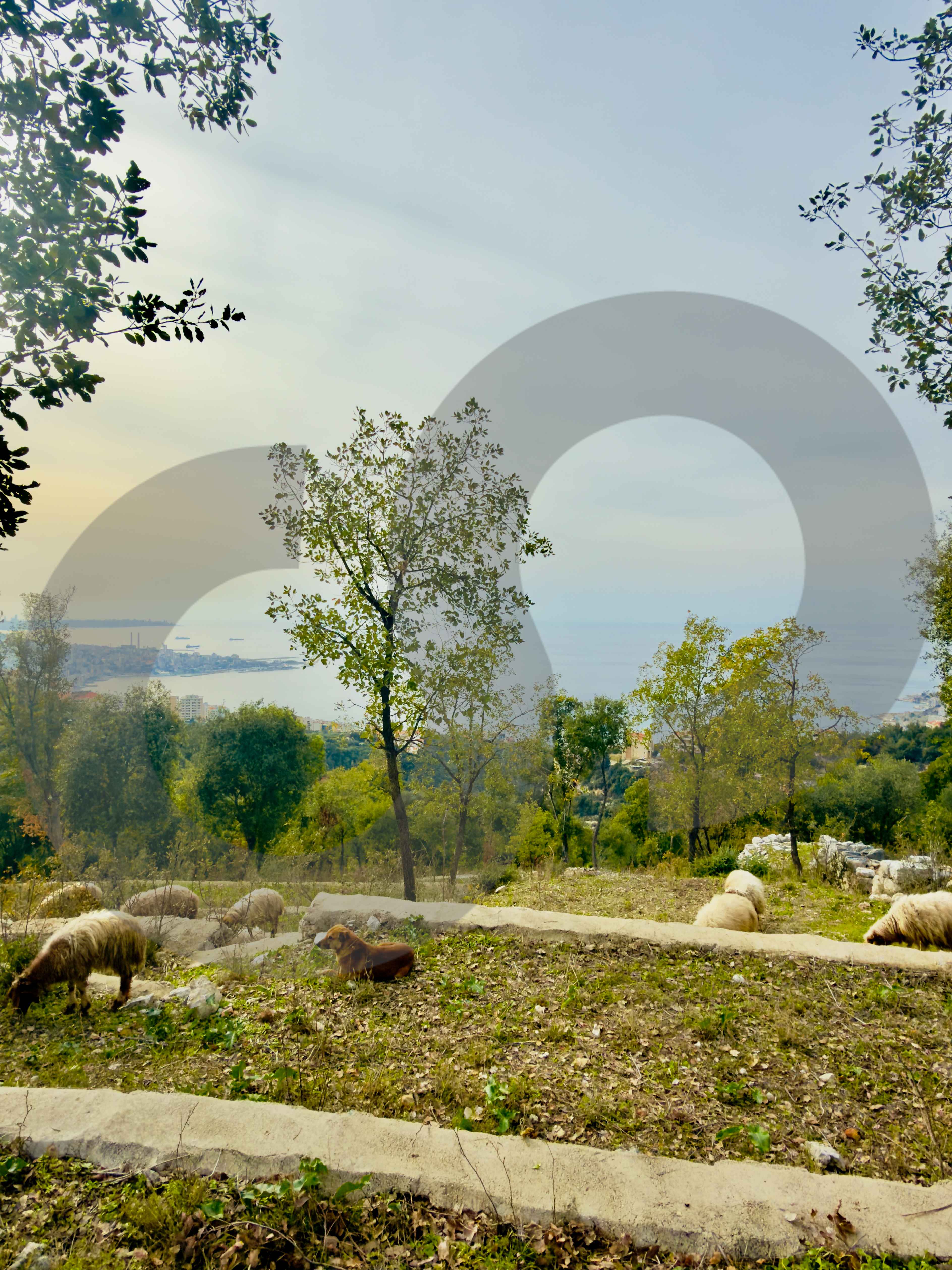 LAND/Direct Access to the road/CHNANIIR — الصورة 3